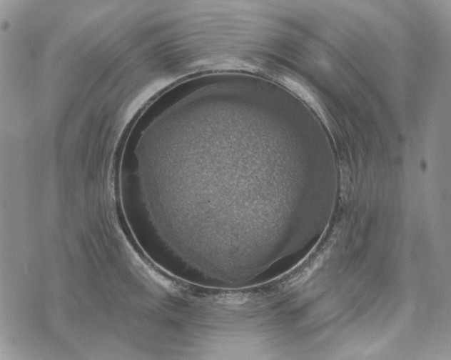 X0000072971141200608041211