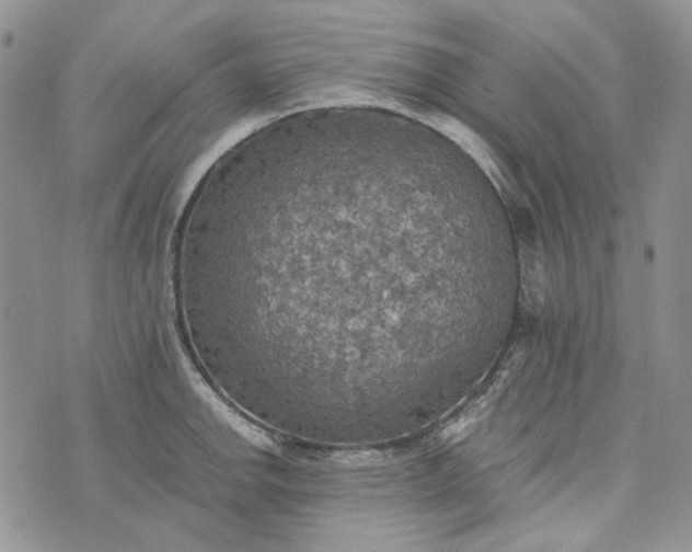 X0000072971142200608041211