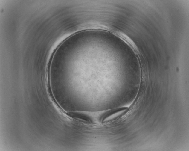 X0000072971144200608041211