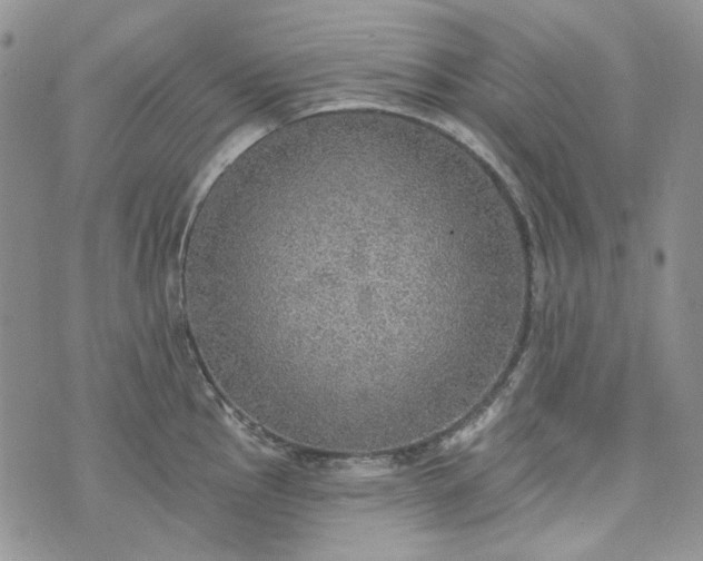 X0000072971145200608041211