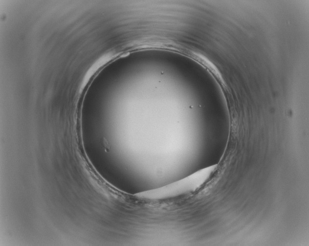 X0000072971146200608041211