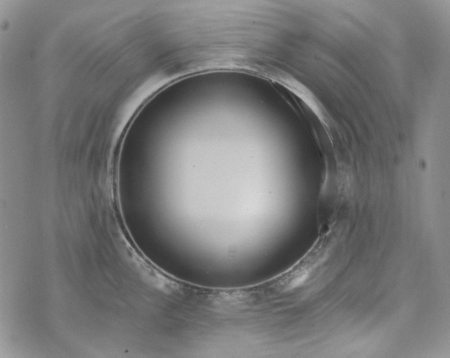 X0000072971148200608041211