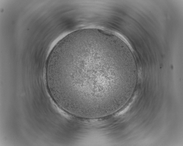 X0000072971149200608041211