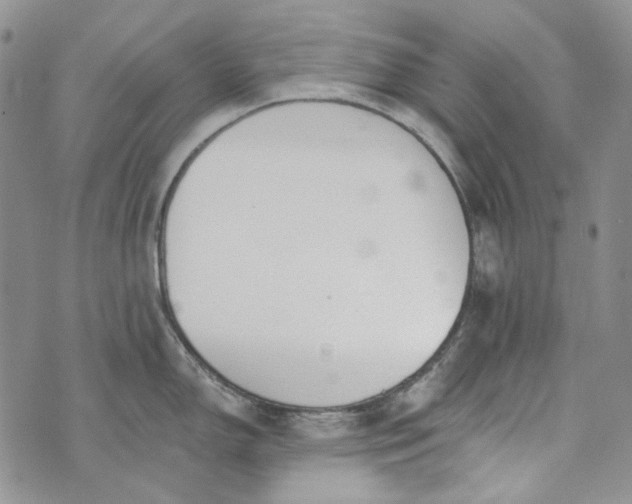 X0000072971150200608041211