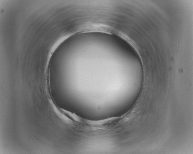 X0000072971152200608041212