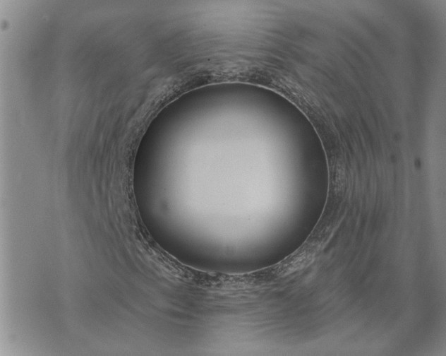 X0000072971153200608041211