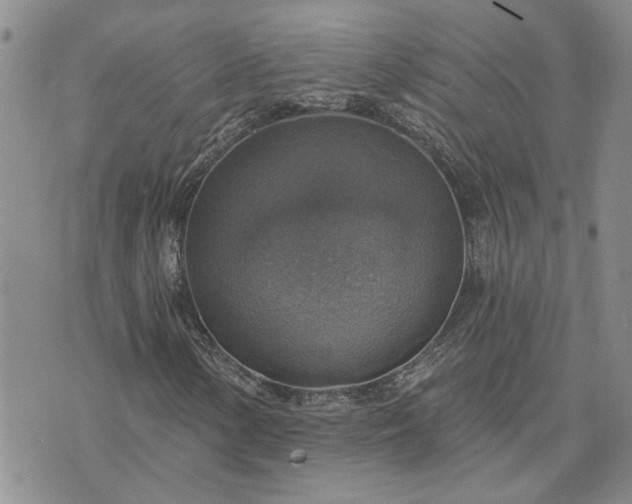 X0000072971154200608041211