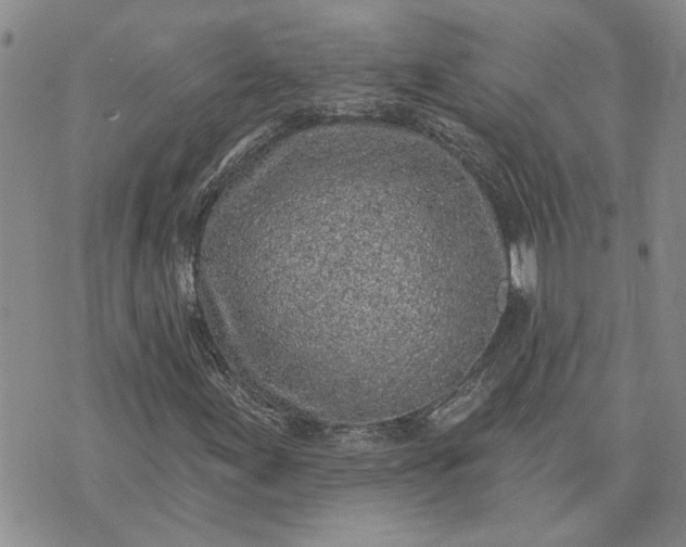 X0000072971155200608041211