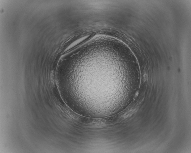 X0000072971156200608041211