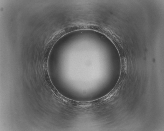 X0000072971157200608041211