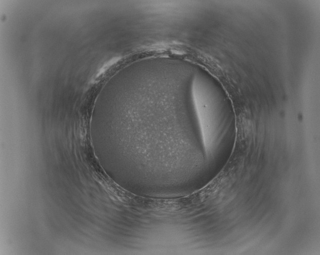 X0000072971158200608041211