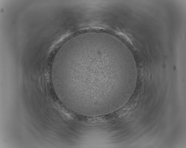 X0000072971159200608041211