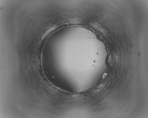 X0000072971160200608041211