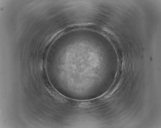 X0000072971161200608041211