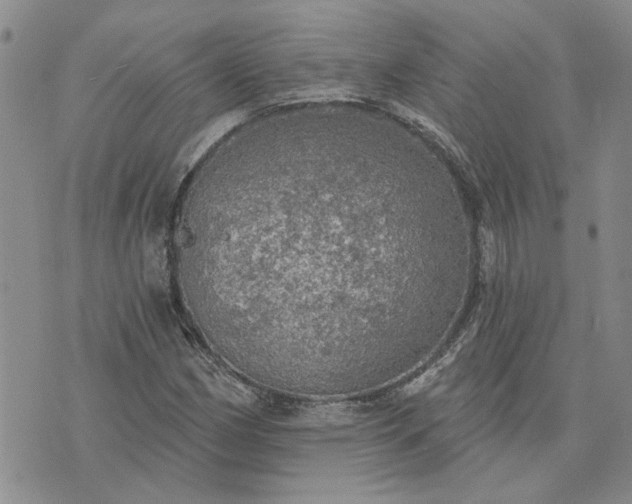 X0000072971162200608041211