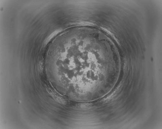 X0000072971163200608041211