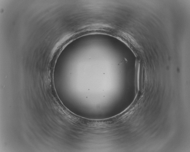 X0000072971164200608041211