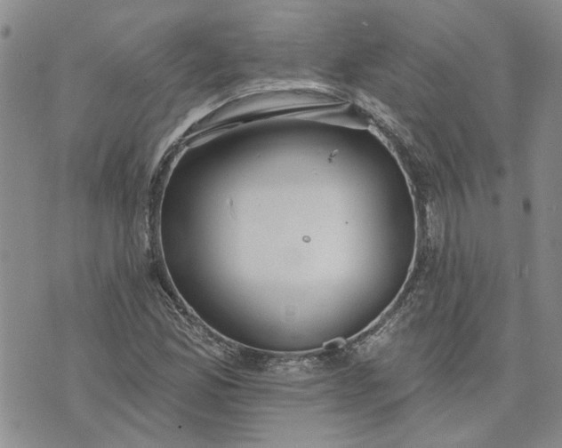 X0000072971165200608041211