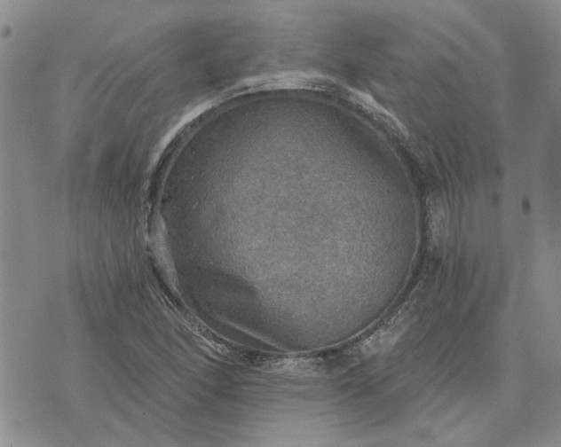 X0000072971166200608041210