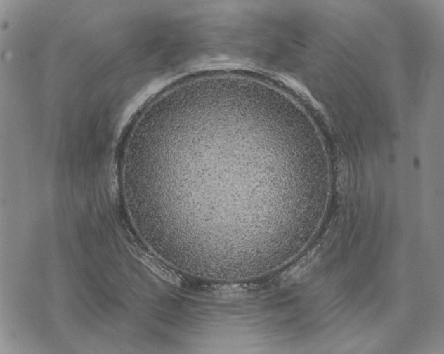 X0000072971167200608041210