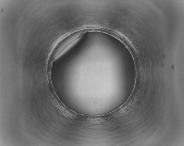 X0000072971168200608041210