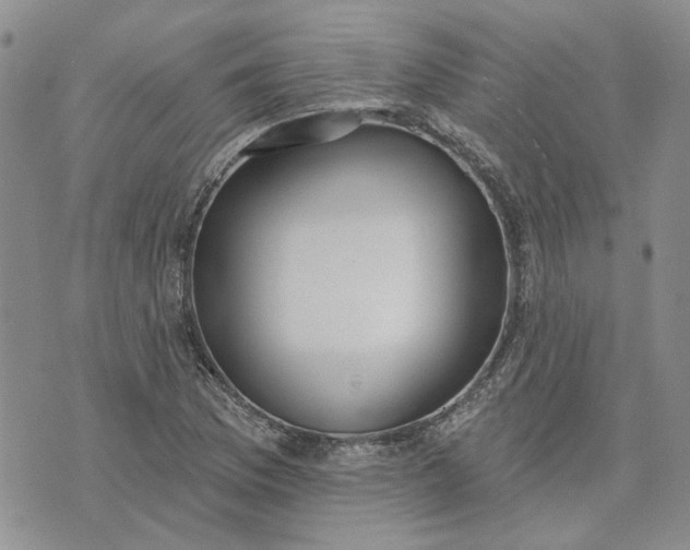 X0000072971169200608041210