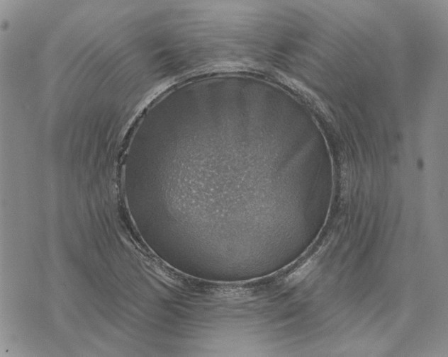 X0000072971170200608041210