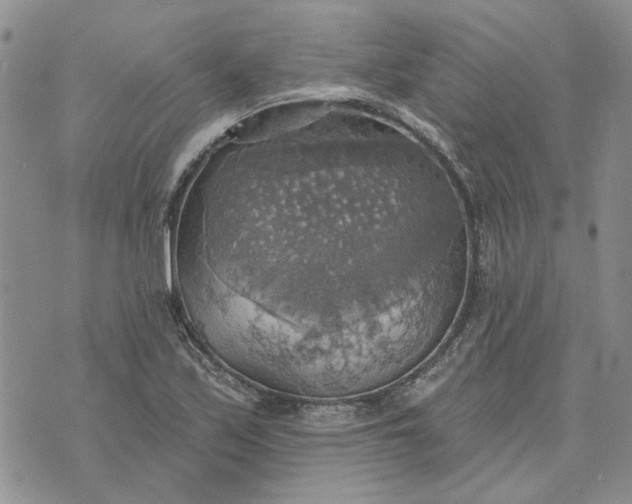 X0000072971171200608041210