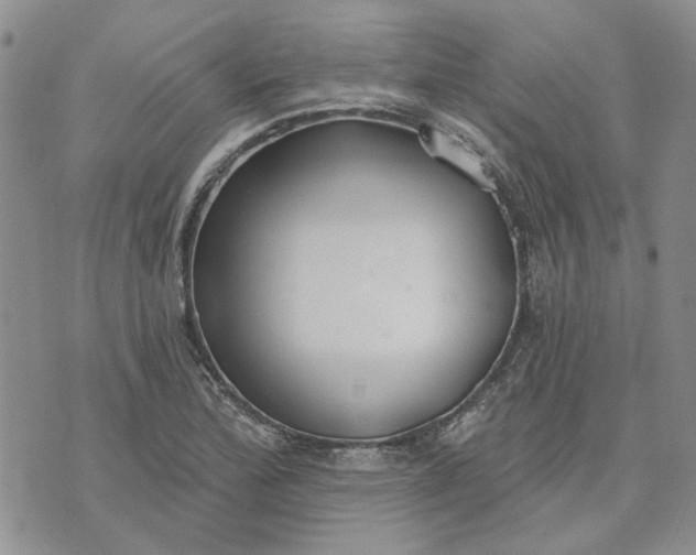 X0000072971172200608041210