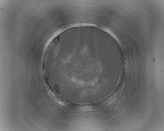 X0000072971173200608041210