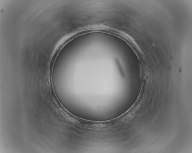 X0000072971176200608041210