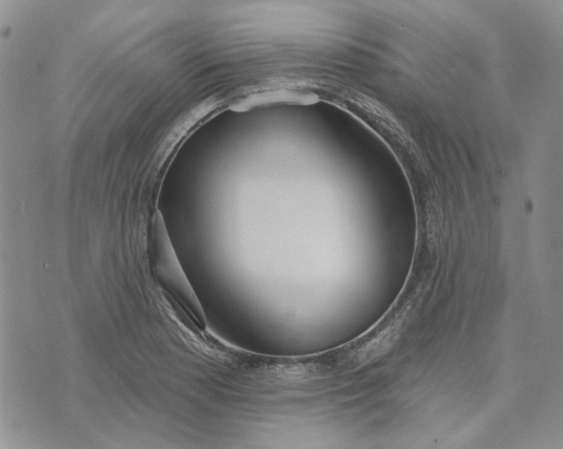 X0000072971177200608041210