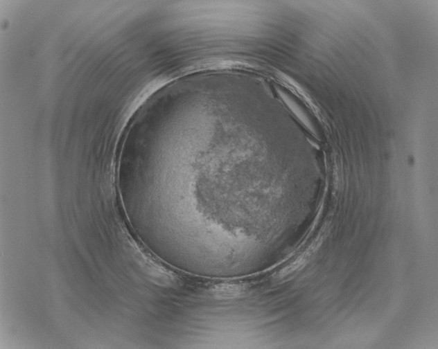 X0000072971178200608041210