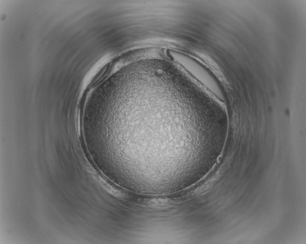 X0000072971180200608041210