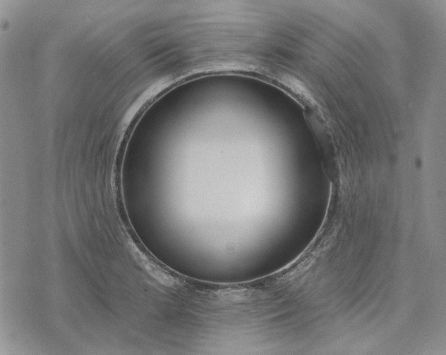 X0000072971181200608041210