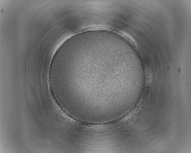 X0000072971182200608041210