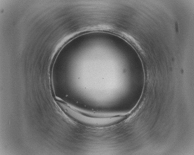 X0000072971184200608041210