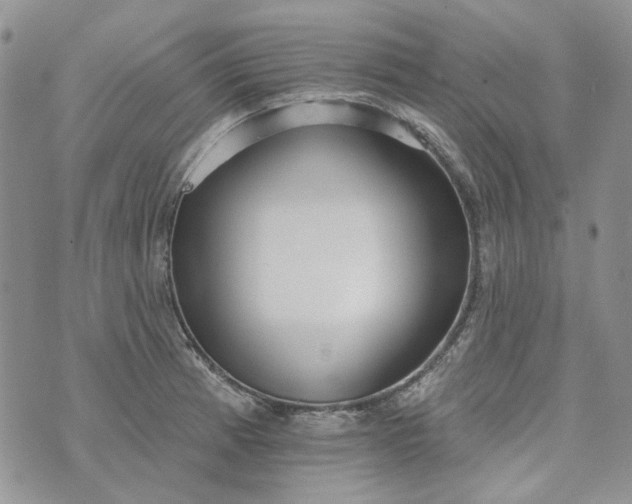 X0000072971185200608041210