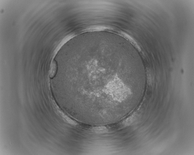 X0000072971186200608041210