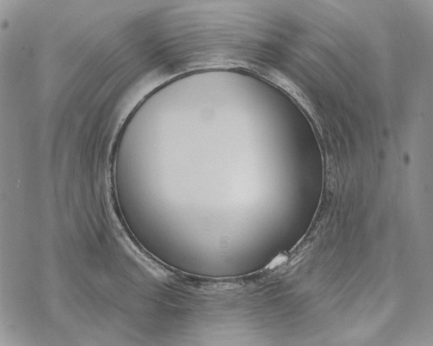 X0000072971187200608041210