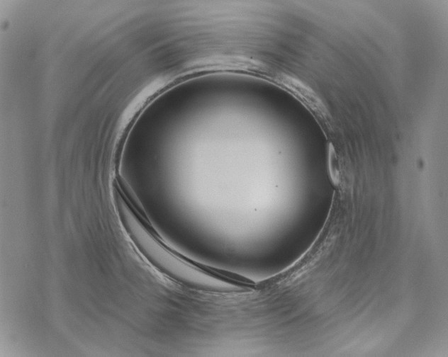 X0000072971188200608041210