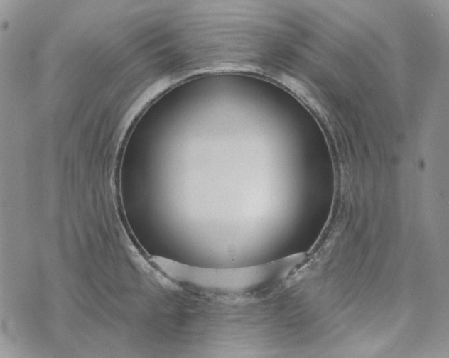 X0000072971189200608041210