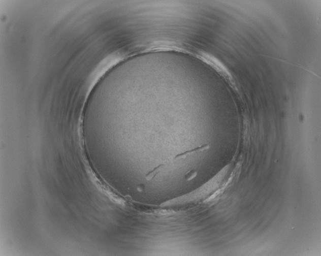 X0000072971190200608041210