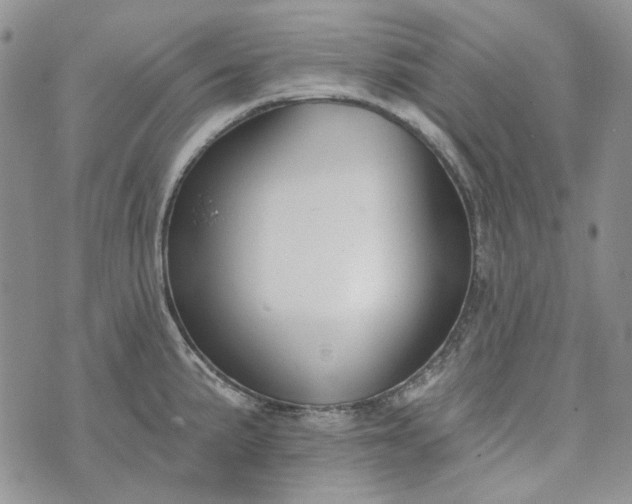 X0000072971191200608041210