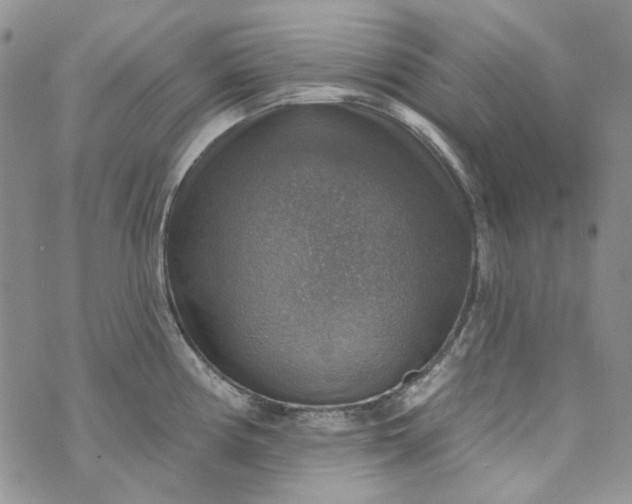 X0000072971194200608041210