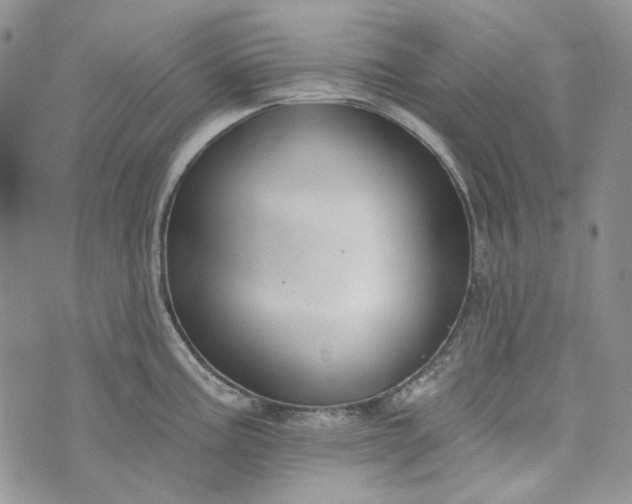 X0000072971195200608041210