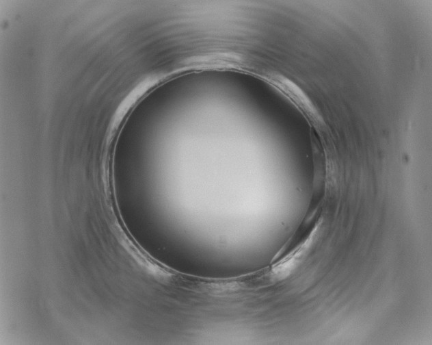 X0000072971196200608041210