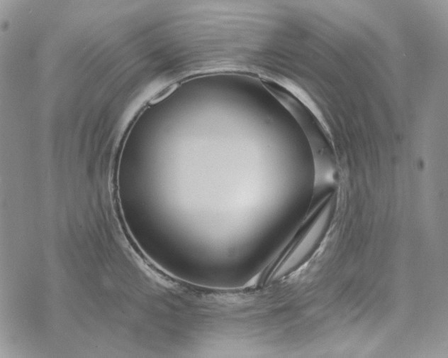 X0000072971197200608041210