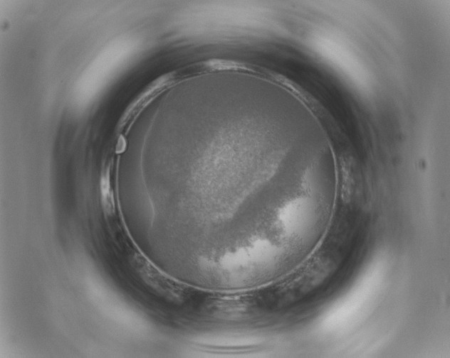 X0000072971198200608041210