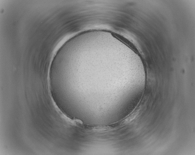 X0000072971199200608041210